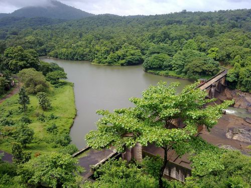 Kerala, Upė, Indija, Ottackal, Tiltas, Subtropinis