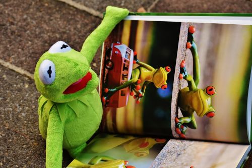 Kermit, Knyga, Paveikslėlių Knyga, Žiūrėti, Varlė, Sėdėti, Figūra, Juokinga, Varlės, Gyvūnas, Pliušas, Iškamša, Peržiūra, Alekos Nuotraukos 