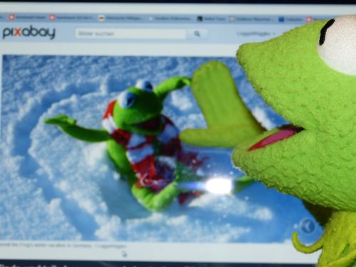 Kermit, Varlė, Kompiuteris, Pixabay, Matyti, Peržiūrėti Vaizdą, Pc, Vaizdai, Stebuklas, Žiūrėk Į Priekį