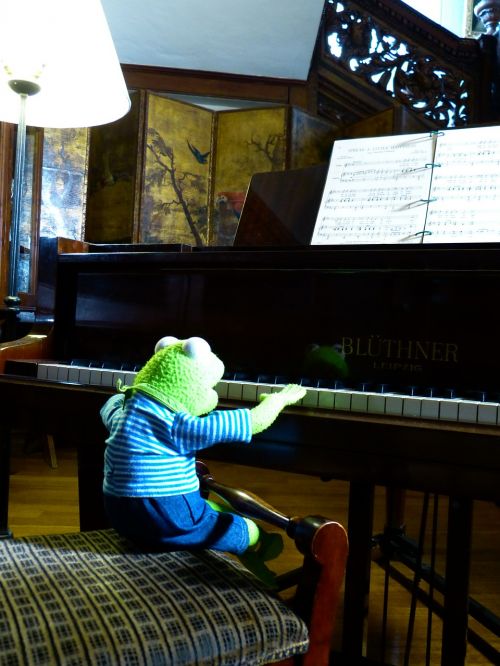 Kermit, Varlė, Fortepijonas, Žaisti, Pratimas, Muzikantas, Pianistas, Koncertas, Klasikinė Muzika, Klasikinis