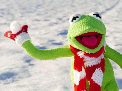 Kermit, Varlė, Sniego Rutulys, Mesti, Sniegas, Žiema, Šaltas, Linksma, Figūra, Sniego Gniūščių Karas