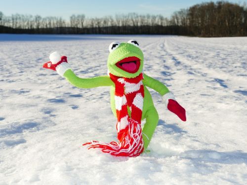 Kermit, Varlė, Sniego Rutulys, Mesti, Sniegas, Žiema, Šaltas, Linksma, Figūra
