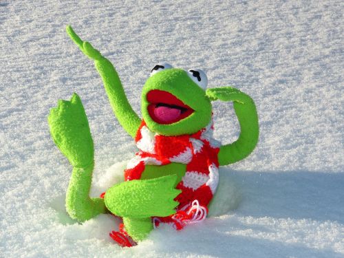 Kermit, Varlė, Linksma, Sniegas, Žiema, Šaltas