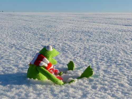Kermit, Sniegas, Žiemos Šaltis, Saulės Šviesa