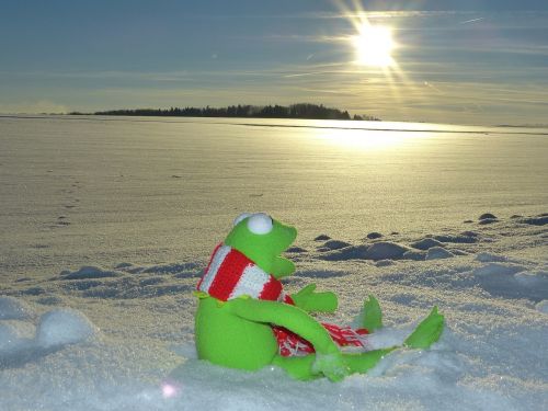 Kermit, Sniegas, Žiemos Šaltis, Vakaro Saulė
