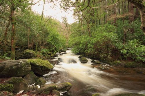 Killarney, Vanduo, Kerry, Gamta