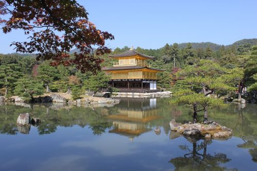 Kinkaku Ji, Kyoto, Japonija, Rudens Lapai, Ruduo, Turistų Kelionės Tikslas