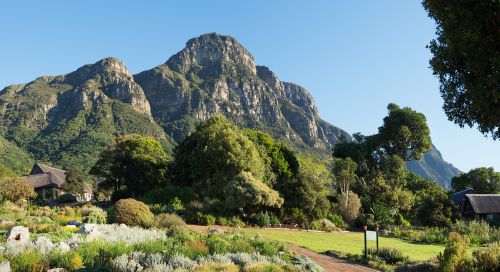 Kirstenbosch Botanikos Sodai,  Kalnas,  Kraštovaizdis,  Gamta,  Dangus,  Miškas,  Kalnai,  Rokas,  Slėnis,  Parkas,  Mėlynas,  Žalias,  Medžiai,  Medis,  Vasara,  Panorama,  Vaizdas,  Stalo Kalnas,  Piko,  Akmenys,  Nacionalinis,  Žolė,  Cape Town,  Pietų Afrika,  Kelionė,  Turizmas,  Vaizdingas,  Be Honoraro Mokesčio