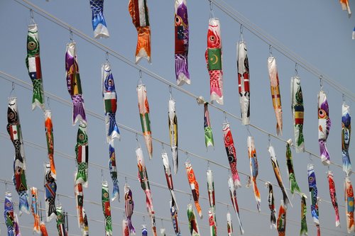 Aitvarai,  Japonijos,  Tradicinis,  Žuvis,  Simbolis,  Apdaila,  Spalvinga,  Festivalis