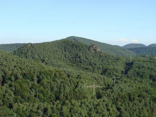 Kleiner Rauhberg,  Pomidorų Miškas,  Kalnas,  Kalnas,  Miškas,  Medžiai,  Vaizdas,  Gamta