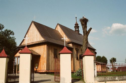 Gandras,  Bažnyčia,  Lizdą,  Bilgorajus,  Huta Bažnyčia Krzeszowska / Bilgoraj