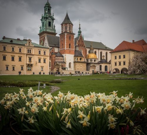 Krakow, Wawel, Pilis, Krakowský Pilis, Narcizas, Gėlė, Istorija, Lenkija, Geltona, Pavasaris, Wawel Krakow