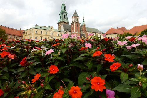 Kraków, Wawel, Paminklas, Architektūra, Gėlės