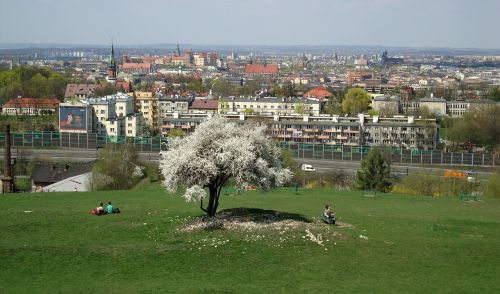 Kraków, Lenkija, Architektūra, Paminklas, Kraštovaizdis, Vaizdas, Istorinis, Miestas, Parkas