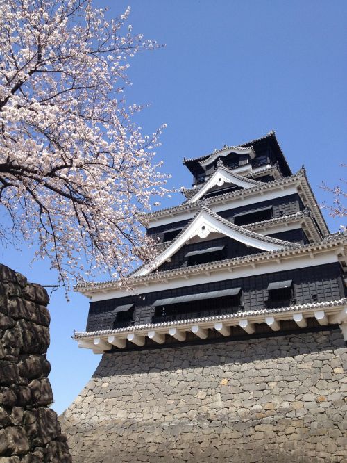 Kumamoto Pilis, Pavasaris, Pastatas, Architektūra, Kumamoto, Japonija