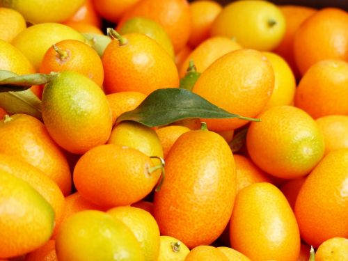 Kumquats, Vaisiai, Vaisiai, Fortunella, Nykštukė, Oranžinė, Deimantinis Žalias, Rutaceae, Kriaušės Formos, Kiaušialąstė, Tamsiai Oranžinė, Aukso Geltona