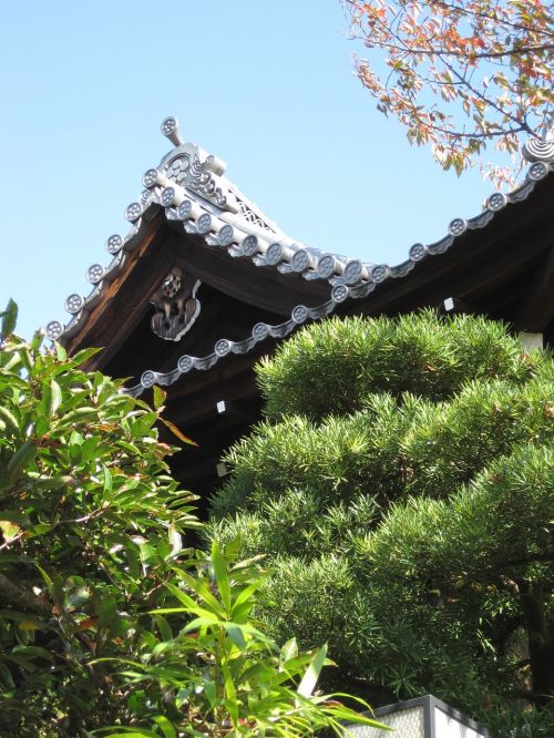 Kyoto, Šventykla, Stogas, Asian Stilius, Architektūra