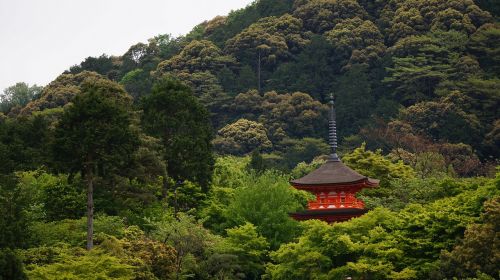 Kyoto, Kraštovaizdis, Šventykla, Asija, Stogas, Medžiai, Kraštovaizdis