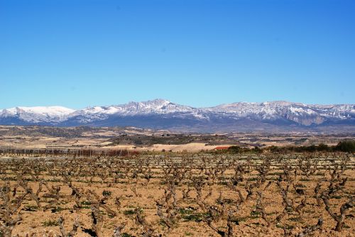 La Rioja, Logroño, Vynuogynai, Žiema