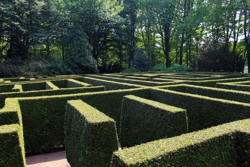 Labirintas, Labirintas, Sodas, Apsidraudimas, Struktūra, Žalias, Prarasti, Linijos, Schlossgarten, Sudarytas Anholtas, Anholtas, Isselburg, Münsterland, Saulėtas