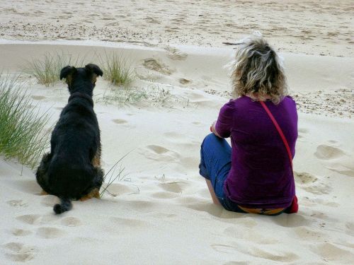Moteris Ir Šuo, Paplūdimio Zona, Smėlis, Šuo Ir Smėlis, Bendravimas, Žvelgia Į Jų Pasaulį