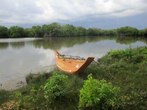 Lagūnas, Boot, Fischer, Žuvis, Šri Lanka, Papludimys, Tropikai, Šventė, Ibis Svečių Namai, Dangus, Jūra, Vanduo, Gamta