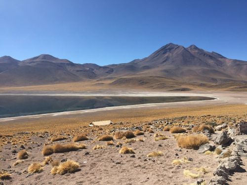 Laguna, Altiplanica, Čile, Atacama, Lagūnas, Plokštė, Dykuma