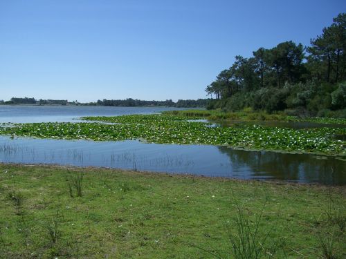Laguna, Gamta, Ežeras