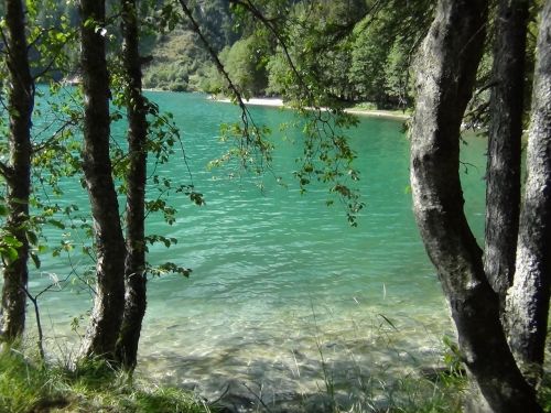 Ežeras, Užsakytas, Medžiai, Aišku, Vanduo, Bergsee, Alpių