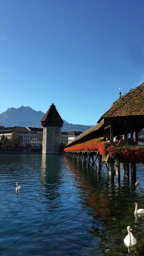 Ežeras, Liucernos, Tiltas, Swiss