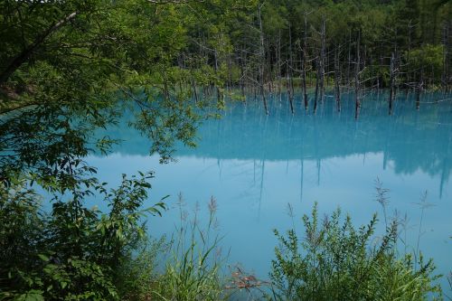 Ežeras, Mėlynas Ežeras, Mėlynas Vanduo, Akano Nacionalinis Parkas, Hokaidas, Japonija