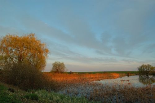 Ežeras, Pelkė, Nendrės, Pavasaris, Saulėlydžio Metu, Gamta, Ukraina