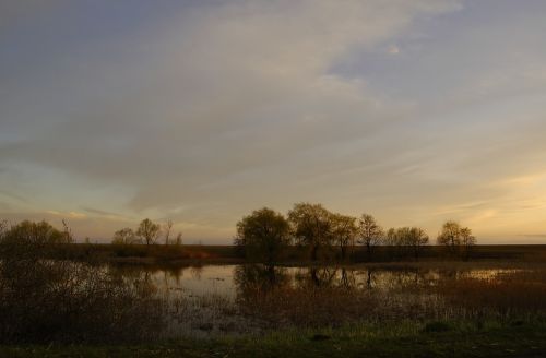 Ežeras, Pelkė, Pavasaris, Po Saulėlydžio, Gamta, Ukraina, Vanduo