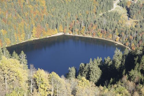 Ežeras, Ruduo, Miškas