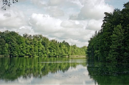 Ežeras, Miškas, Medžiai, Debesys, Gamta, Dangus, Vaizdingas, Harmonija, Poilsis, Žalias, Nuotaika