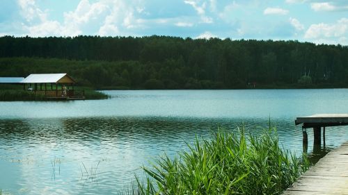 Chžhkovskoe Ežeras, Rusiška Gamta, Kraštovaizdis