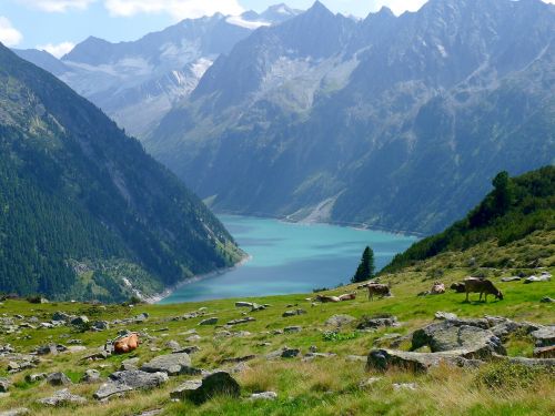 Ežeras, Kalnai, Rezervuaras, Austria-Tirol-Zillertal, Gamta, Kraštovaizdis