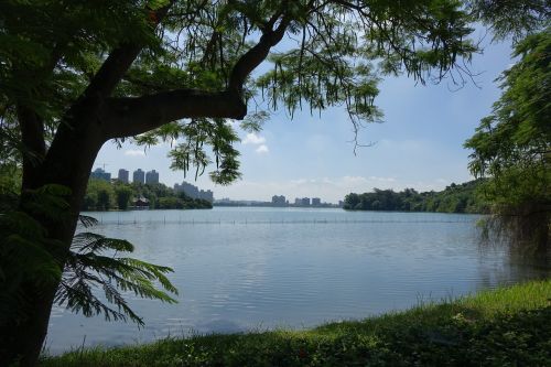 Ežeras, Medžiai, Žalias, 灣 Chengching Ežeras Kaohsiung