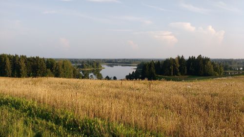 Ežeras, Laukas, Miškas, Sodas, Gamta, Žalias, Medžiai, Vanduo, Vakarą, Latvia