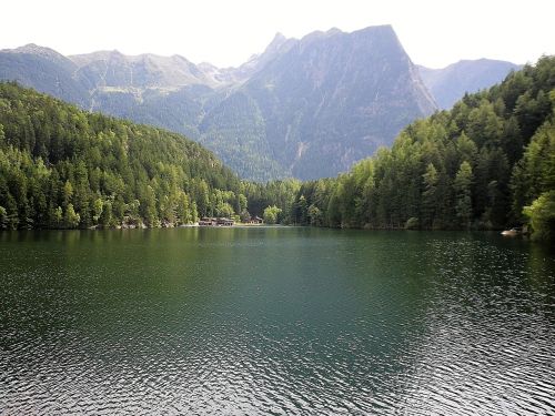 Ežeras, Piburgersee, Vandenys, Tyrol, Kalnai, Idilija