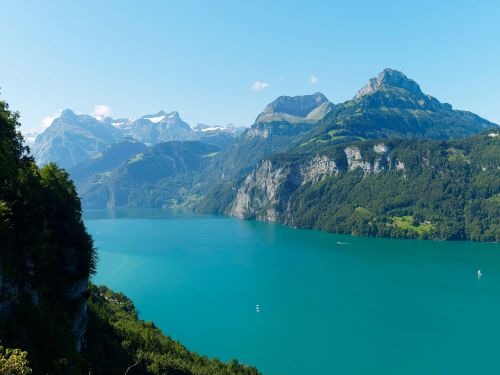 Ežeras, Liucernos, Šveicarija, Kalnai, Kraštovaizdis, Alpės, Pieva