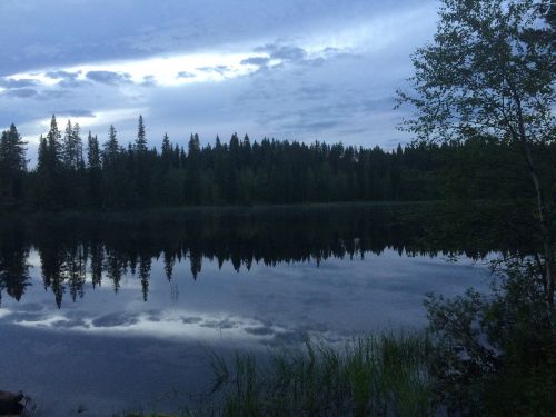 Ežeras, Kraštovaizdis, Suomių, Kainuu, Papludimys, Vasara, Gamta, Gamtos Nuotrauka, Dangus, Miškas Horizonte, Vaizdingas, Kranto Linija, Ežeras Finlande