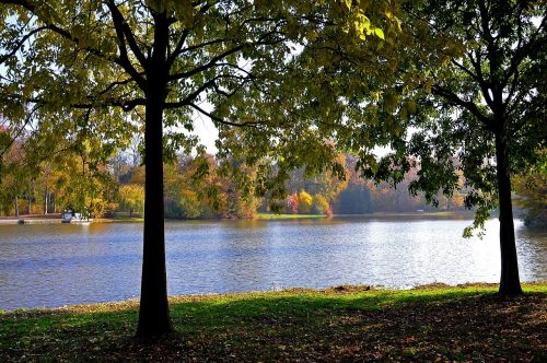 Ežeras, Pilies Parkas, Herbstimpressija, Atsiras