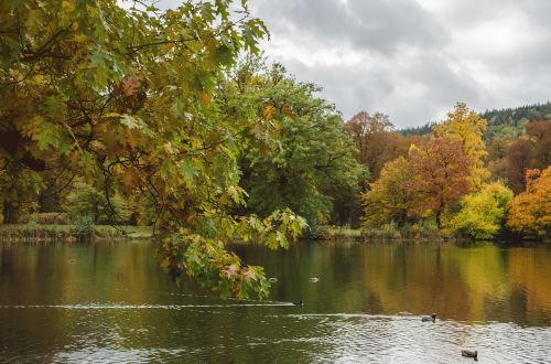 Ežeras, Ruduo, Parkas, Gamta