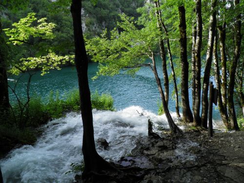 Ežeras, Vanduo, Medis, Kraštovaizdis, Gamta, Parkas