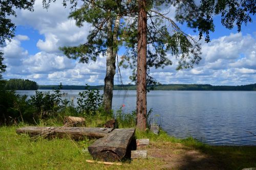 Ežeras, Papludimys, Suomių, Vasara, Medis, Ežeras Finlande, Kraštovaizdis