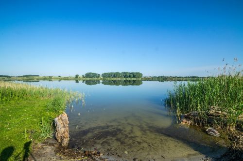 Ežeras, Vanduo, Dangus, Bankas, Mėlynas, Nendrė, Kraštovaizdis, Romantiškas