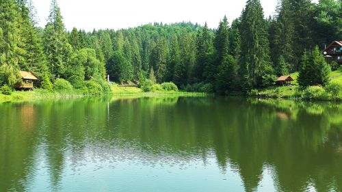 Ežeras, Miškas, Gamta, Kraštovaizdis, Medžiai, Lygus Paviršius, Ramybė, Vanduo, Ukraina, Karpatai