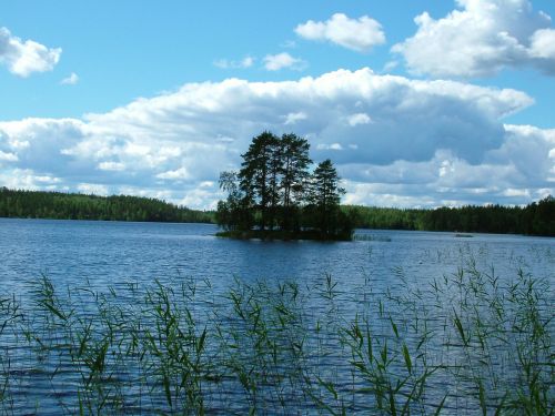 Ežeras, Sala, Mažas, Medžiai, Suomių, Nendrės, Dangus, Debesys, Vanduo