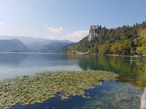 Ežeras, Pilis, Valtis, Kelionė, Gamta, Kalnas, Bled, Slovenia, Europa, Kraštovaizdis, Alpių, Vanduo
